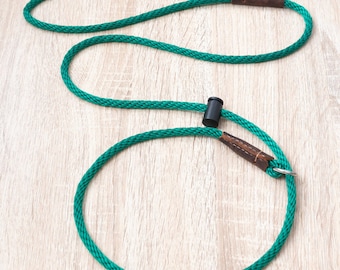 May include: A green rope dog leash with brown leather accents and a metal clip.
