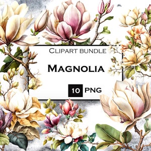 Magnolia clipart, aquarel bloemen PNG, romantische Magnolia clipart, commercieel gebruik, instant digitale download