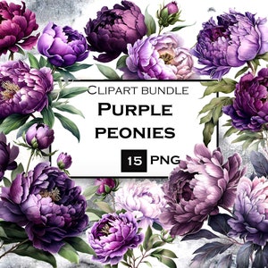 Paarse pioenrozen clipart, aquarel bloemen PNG, pioenrozen clipart, commercieel gebruik, instant digitale download