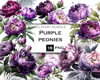 Purple Peonies Clipart, Watercolor Flowers PNG, Peonies Clipart, Commercial Use, Instant Digital Download