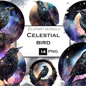 Bird Clipart Celestial Clipart Bundle Witch Clipart Commercial Use Instant Digital Download