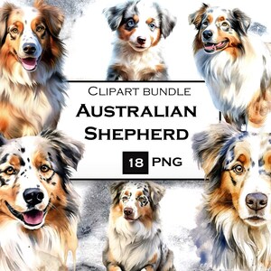 Australian Shepherd Clipart Bundle Dog Clipart in PNG Format - Etsy