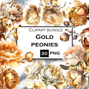 Gold Pfingstrose Clipart, Floral Clipart, Aquarell Pfingstrose, Hochzeit Clipart, kommerzielle Nutzung, sofortiger digitaler Download