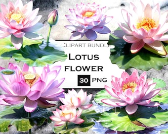 Paquete de imágenes prediseñadas de flor de loto de acuarela, archivos PNG de flor de loto con fondo transparente para diarios basura y scrapbooking