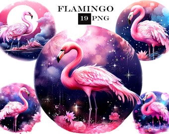 Paquete de imágenes prediseñadas de flamencos: 19 PNG tropicales para sublimación (descarga digital)