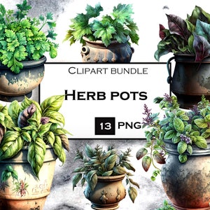 13 PNG Garden Clipart Bundle, Watercolor Herb Clip Art PNG Bundle, Garden SVG, Summer Clipart