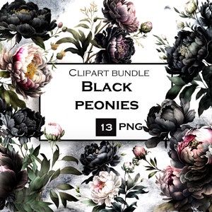 Clipart di peonie nere, PNG di fiori ad acquerello, Clipart di peonie, uso commerciale, download digitale istantaneo