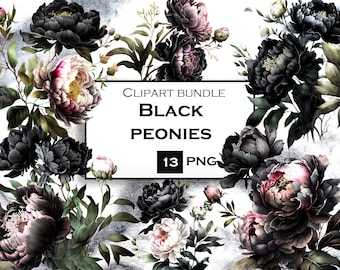 Black Peonies Clipart, Watercolor Flowers PNG, Peonies Clipart, Commercial Use, Instant Digital Download
