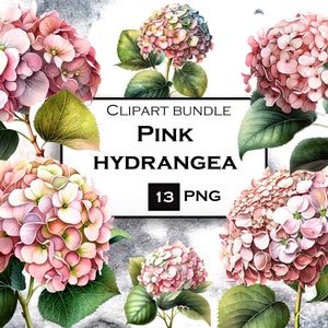 13 PNG Pink Hydrangea Clipart Bundle, Acquerello Fiori PNG, Ortensia Clip Art PNG Bundle, Uso commerciale, Download digitale istantaneo