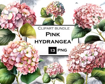 13 PNG Pink Hydrangea Clipart Bundle, Watercolor Flowers PNG, Hydrangea Clip Art PNG Bundle, Commercial Use, Instant Digital Download