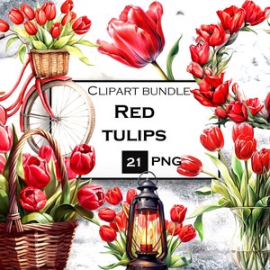 Rode tulp clipart bundel, aquarel bloemen PNG, tulp SVG, lente clipart bundel in PNG-formaat met transparante achtergrond