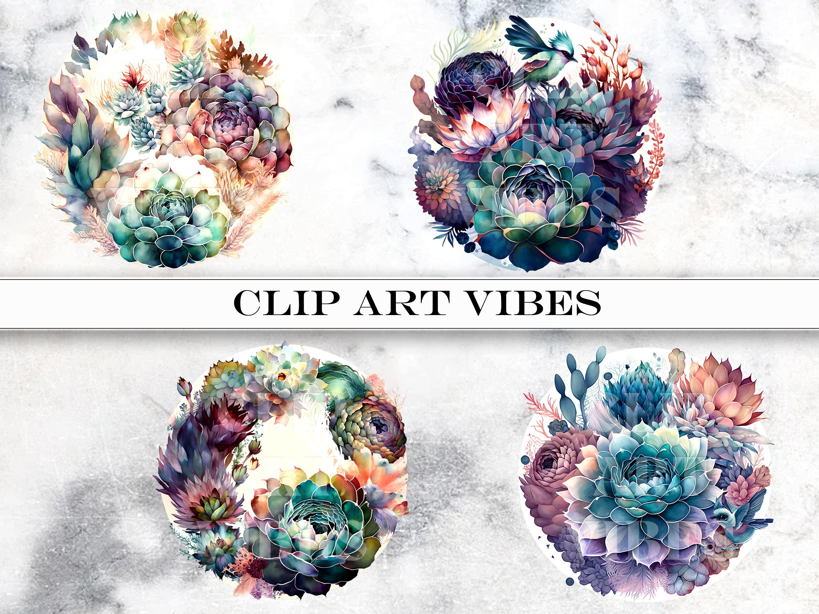 14 PNG Succulent Clipart Bundle, Watercolor Succulent Clip Art PNG ...