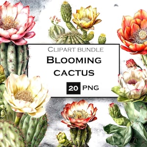 20 PNG Cactus Clipart Bundel, Sappige SVG, Floral Clip Art PNG Bundel, Commercieel Gebruik, Instant Digitale Download