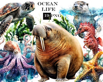 Imágenes prediseñadas de animales del océano, paquete de imágenes prediseñadas de acuarela, SVG del océano, imágenes prediseñadas de animales marinos, animales PNG, uso comercial, descarga digital instantánea