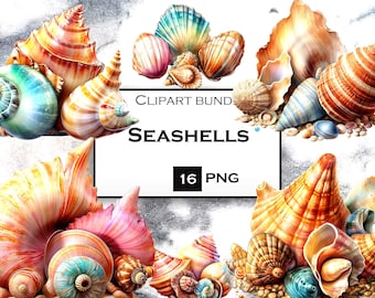 Seashell Clipart Bundle, Seashell SVG, Ocean Clipart in PNG Format for Junk Journals and Scrapbooking with Transparent Background