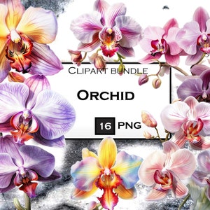 Orchid Clipart Bundle: Floral PNG Graphics for Scrapbooking (Digital Download)
