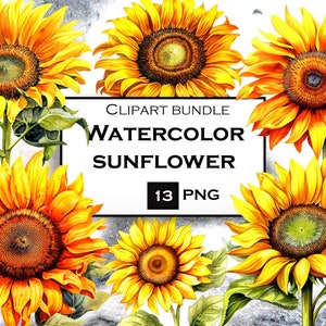 Watercolor Sunflower Clipart Bundle, Sunflower PNG, Sunflower SVG File with Transparent Background