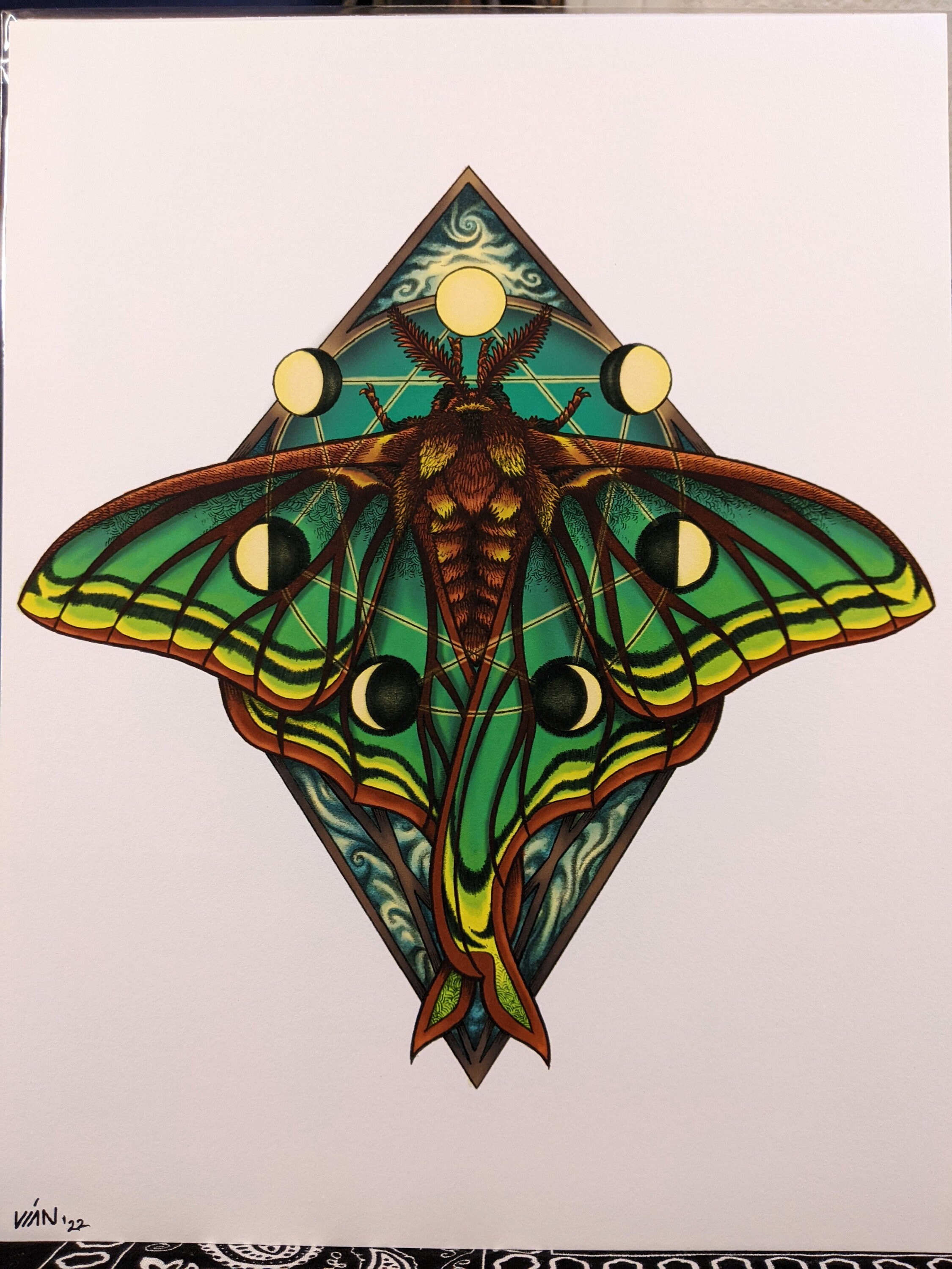 Moon Moth, Actias Luna - 8.5"x11" Art Print - Etsy