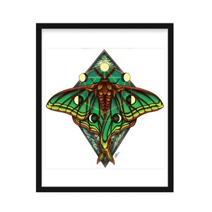 Moon Moth, Actias Luna - 8.5"x11" Art Print