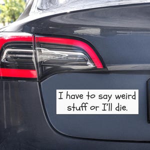 Funny Car Bumper Magnet - Weird Stuff