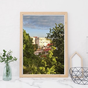 Morning View in Cozumel / Luscious Greenery in Mexico / Digital PDF Download Wall Art