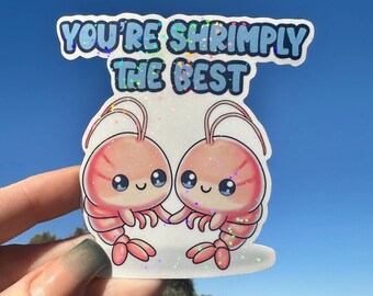 You're Shrimply the Best, Cute Valentines Couples gift, Galentines, waterproof vinyl decal for water bottles, laptops, planners, journals