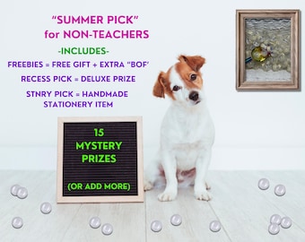 Mystery Bundle, Custom scoop, Cute Desk Accessories, Office Supplies, Unique Gift, Back to School, gift for her, teacher appreciation