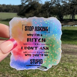 Sarcastic Sticker for Mean Girls, Dark Humor Decal, Funny Gift Under 10, Offensive Adult Sticker, Bad Bitch Attitude, smartass, ruthless
