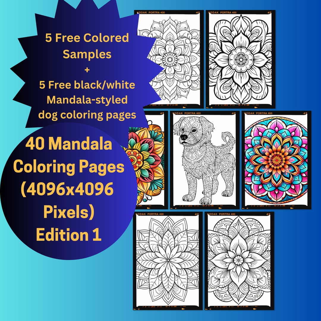Mandalas Coloring Books for Adults Relaxation: Stress Relieving Mandala  Coloring Book: New & Expanded Edition (Paperback)