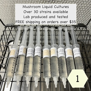 Płynna kultura grzybów kulinarnych 10ml, dostępnych 30 szczepów!