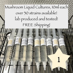 Culinary Mushroom Liquid Culture 10ml, 30 strains available!
