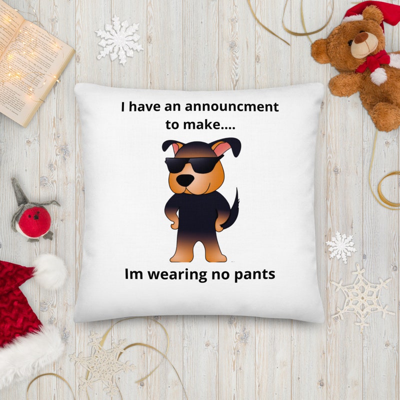 Funny Pillow - Etsy
