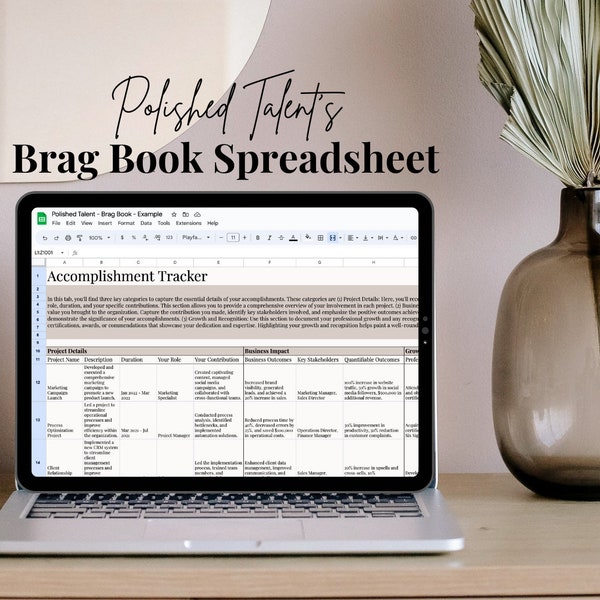 Career Brag Book Spreadsheet | Google & Excel Sheet | Career Accomplishment and Results Tracker | Career Development | Tracker Template