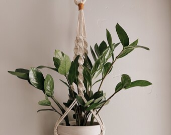 Pode incluir: Um suporte de plantas de macramé branco com um anel de madeira no topo e um pequeno tassel marrom na parte inferior. Uma planta verde está pendurada no suporte.