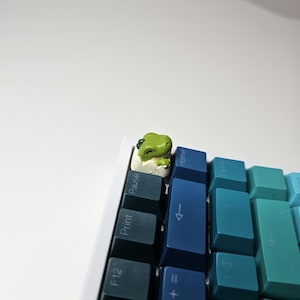 May include: A green dinosaur keycap with a white egg shell, sitting on a blue and green keyboard with keys labelled 'Print', 'Pause', 'Home', 'PgUp', '←', '=', '1', '2', '3', '4', '5', '6', '7', '8', '9', '0', '-', '+', 'F12'.