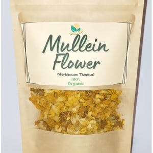Mullein Flower tea,mullein leaf seeds,great mullein,mullein plant,common mullein,verbascum plant,verbascum thapsus,cough,herb herbs herbe