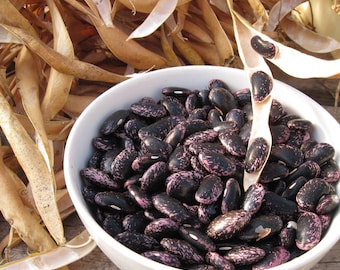 Semi di fagioli rampicanti Scarlet Emperor: ortaggio antico non OGM