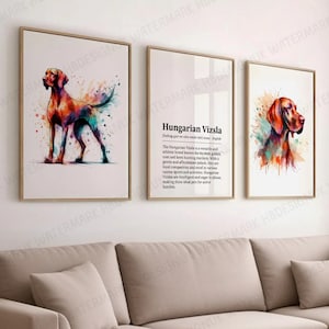 Hungarian Vizsla Dog Prints - Set of 3 Posters | Watercolor Definition Wall Art | Colourful Painting | Room Decor | Dogs Pet Artwork Gift