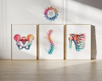 Chiropractic Print Set - 3 Watercolour Posters | Chiropractor Office Decor | Anatomy Wall Art | Chiro Clinic Artwork | Medical Room Prints