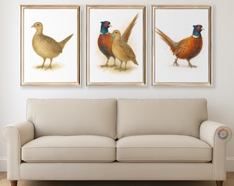 Fasan Aquarell Wand Kunst - Print Set, Aquarell Bauernhaus Dekoration, Bauernhof Poster, Wild Vogel Kunstwerk, Landhaus, moderne Malerei