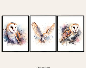 Schleiereule Print Poster Set - Poster Set 3 Poster | Aquarell Eule | Wandbehang Dekor | Tier Wand Kunst | Britische Wildtier Geschenke Zeichnung