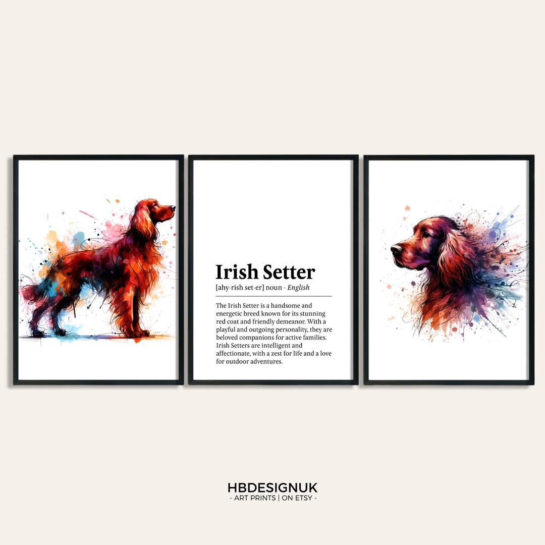 Irish Setter Dog Prints Set of Posters Watercolor Definition