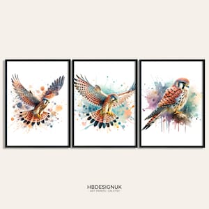 Kestrel Paintings Print Bird Poster - Set van 3 afbeeldingen | Torenvalk-print | Aquarelposters | Aquarelcadeaus | Decoratie | Muurkunst dieren