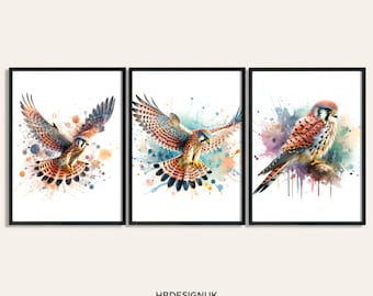 Poster d'oiseau imprimé Kestrel Paintings - Lot de 3 images | Impression crécerelle | Posters à l'aquarelle | Cadeaux Aquarelle | Décoration | Art mural animalier