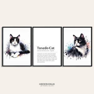 Tuxedo Cat Poster Set - Set of 3 Prints | Watercolor Print | Pet Present Picture | Cat Wall Art | Home Decor | Gift for Cat Lover | Birthday