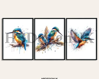 Kingfisher Poster Set - Set of 3 Prints | Watercolor Kingfishers Painting | Present Picture | Animal Wall Art | Wildlife Gifts | Birthday