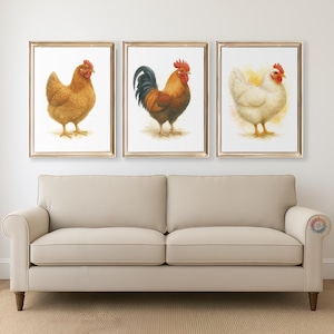 Chicken Watercolour Prints - Animal Wall Art Set, Watercolor Decor, Hen UK Farm Artwork, Country House, Modern Painting Print, Farmhouse