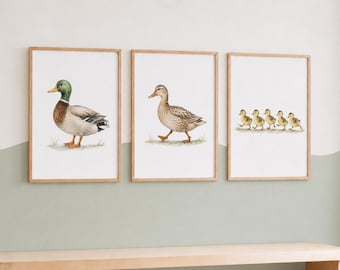 Duckling Nursery Print Set - 3 Kids Bedroom Prints, Playroom Baby Duck Decor
