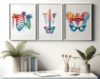 Chiropractor Print Set - 3 Watercolour Posters | Chiropractic Office Decor | Anatomy Wall Art | Chiro Clinic Artwork | Medical Room Prints