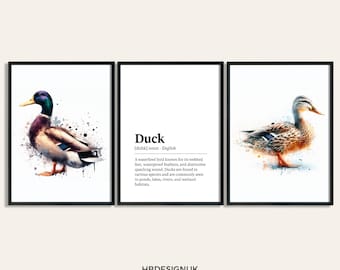 Duck Poster Set - Set of 3 Prints | Watercolour Ducks Print | Wall Hanging Decor | Animal Wall Art | British Wildlife Gifts | Duck Artwork